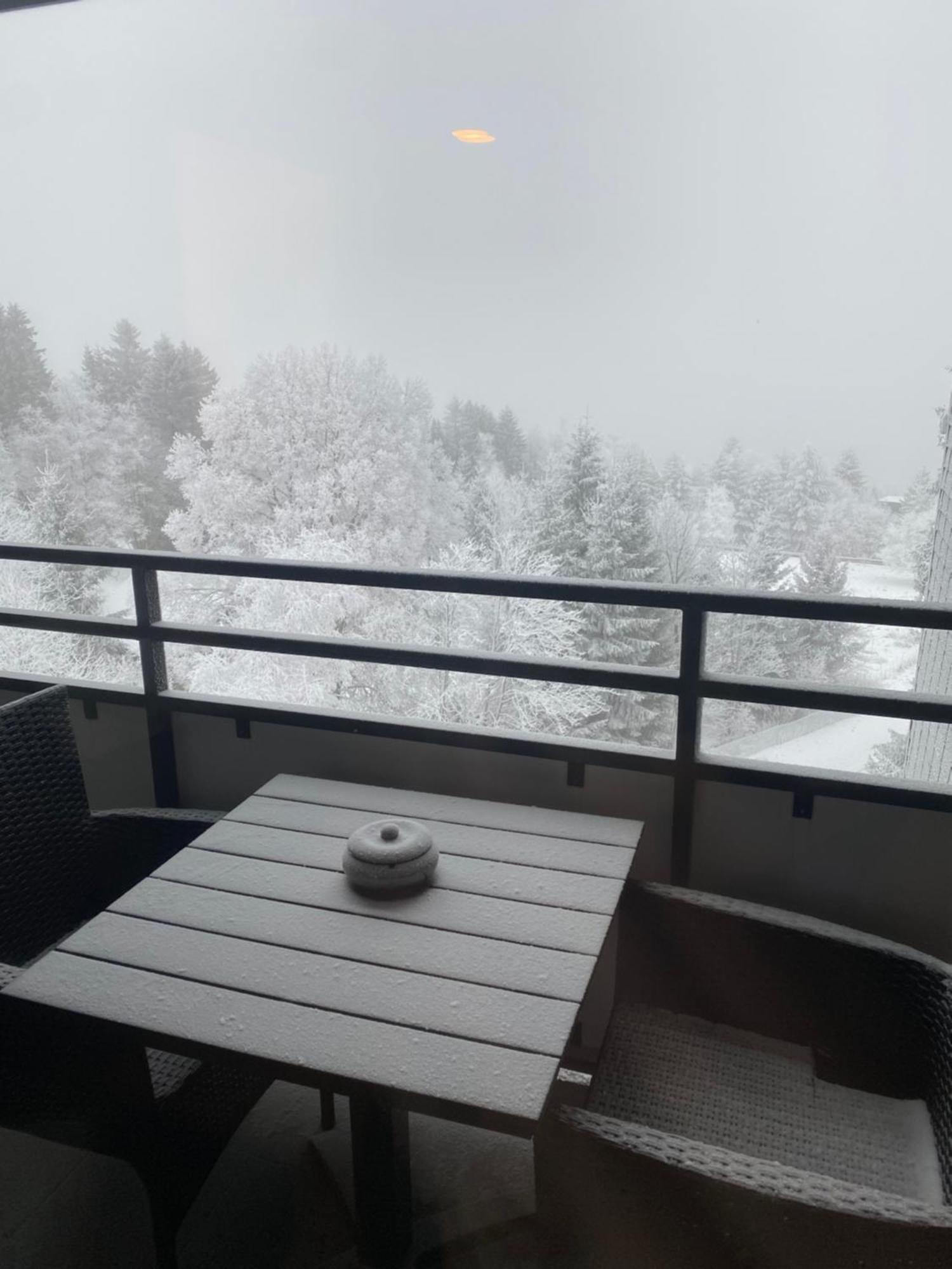 Apartment Bergluft Winterberg Am Bikepark, Skilift, Ssc Екстериор снимка
